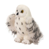 Wizard Snowy Owl-3