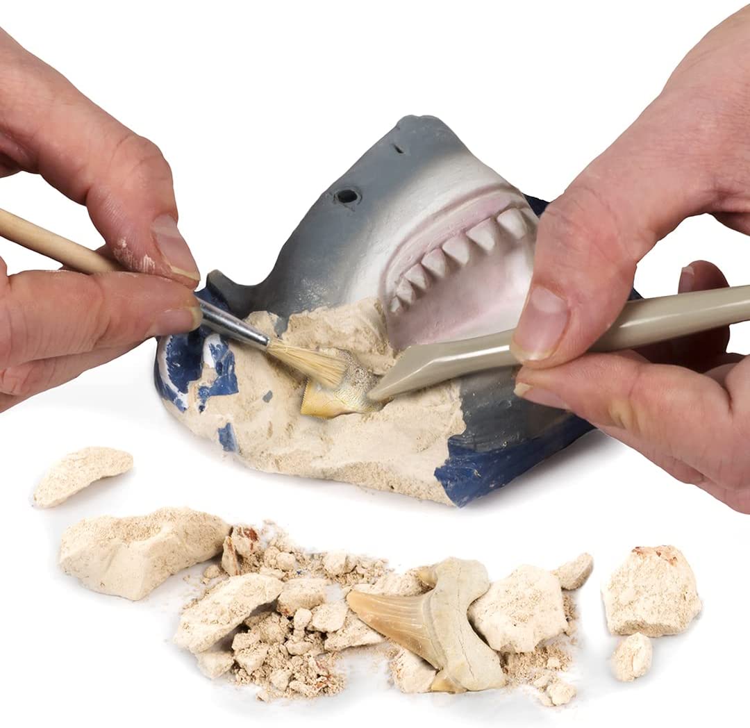 Ng Shark Tooth Dig Kit-4