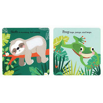 Remarkable Rainforest-4