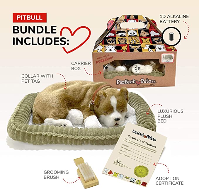 Pit Bull-2