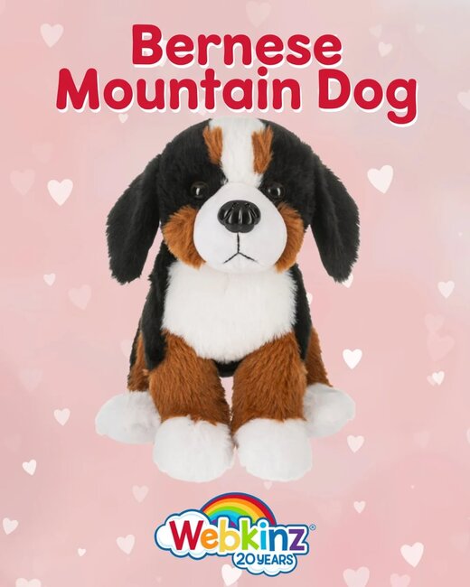 Webkinz Bernese Mountain Dog-1
