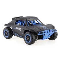 Rally Truck Rc