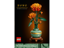 Chrysanthemum
