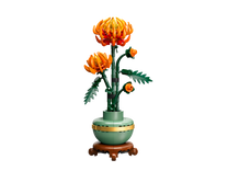 Chrysanthemum