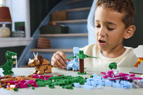 Creative Dinosaur