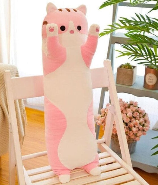 Long Pink Tabby Cat-1