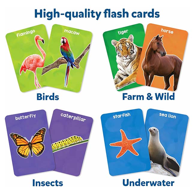 First 100 Animals Flash Cards -2