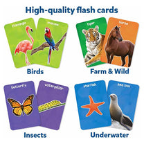 First 100 Animals Flash Cards -2