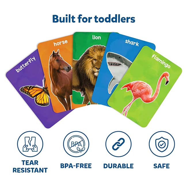 First 100 Animals Flash Cards -3