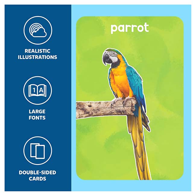 First 100 Animals Flash Cards -4