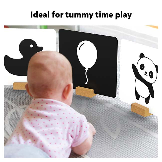 High Contrast Flash Cards for Infants-4