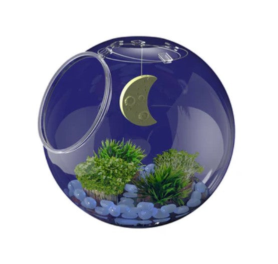 Wow Light Up Terrarium