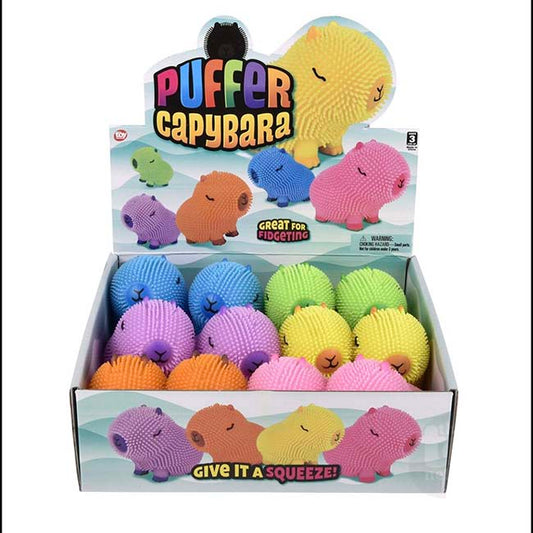 Capybara Colorful
