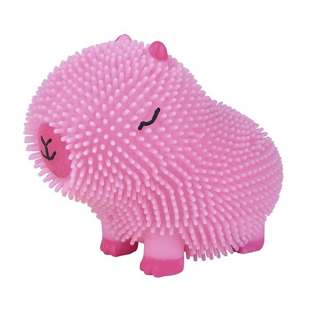 Capybara Colorful