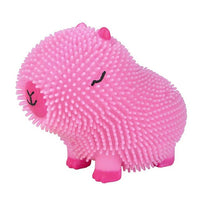 Capybara Colorful
