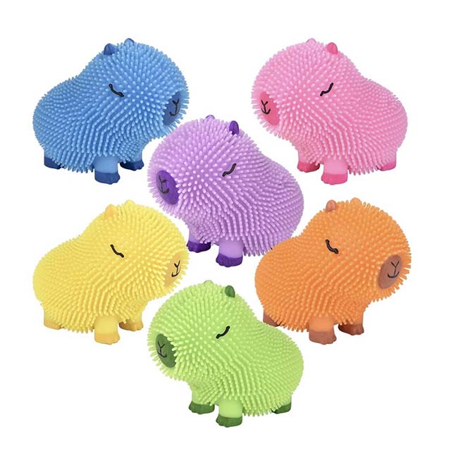 Capybara Colorful