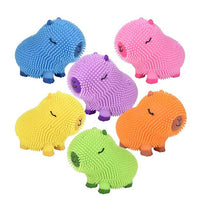 Capybara Colorful