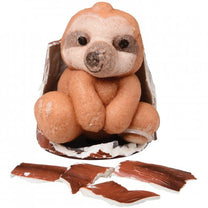 Hide N Seek Grow Sloth-3