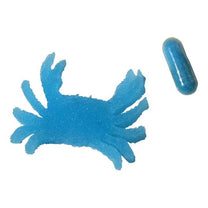 Magic Sea Animl Capsule-4