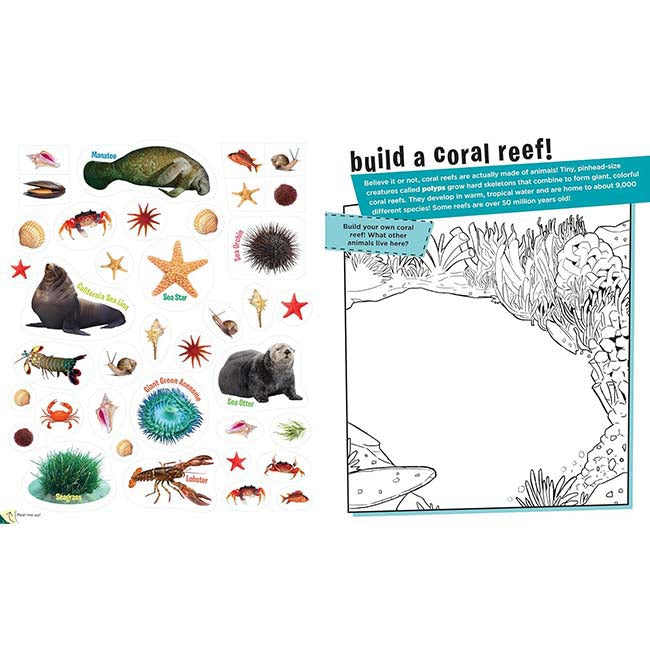 Peel and Discover Oceans-2