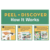 Peel and Discover Oceans-3