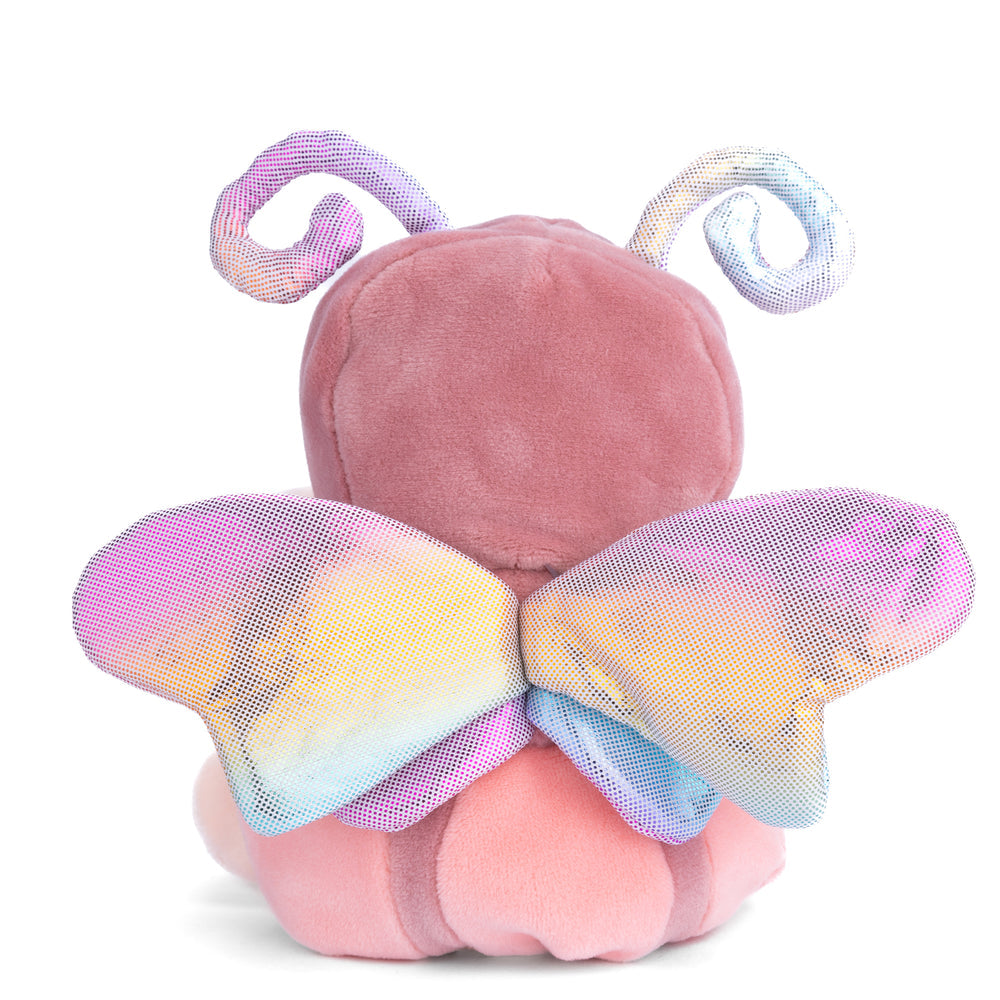 Ziggy Butterfly Rose-2