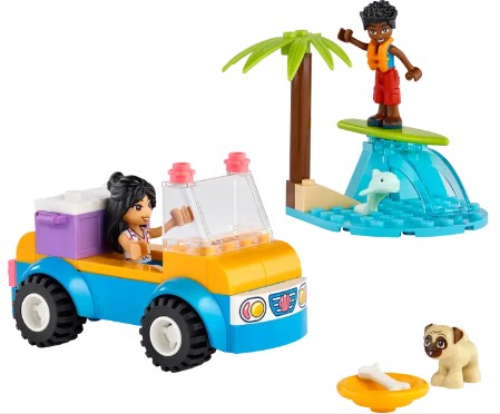 Beach Buggy Fun-1
