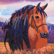 Ca Card Kit Horse-3